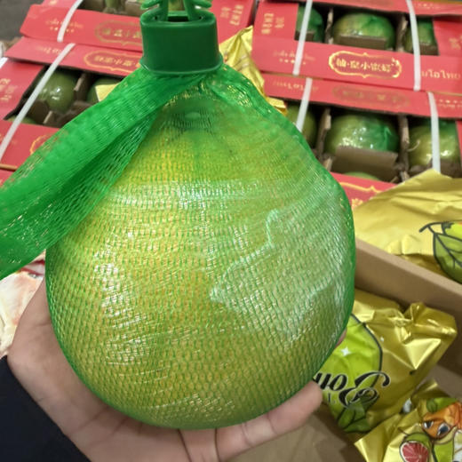 越南翡翠金柚 小蜜蜂品牌 29.8/2个 约1.5斤一个 商品图2