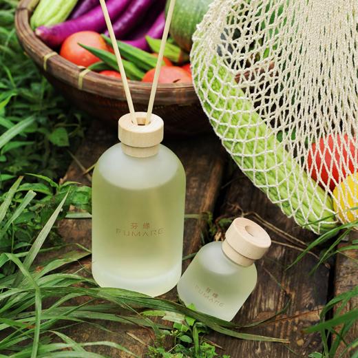 芬缘FUMARE有机系列无火香薰室内持久留香大容量香氛挥发液礼物 商品图3