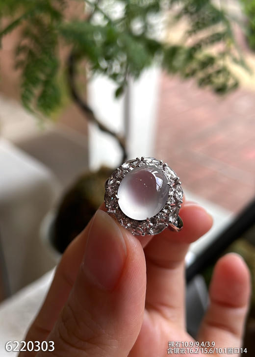 6220303，蛋面戒指。具体价格微信咨询 商品图2