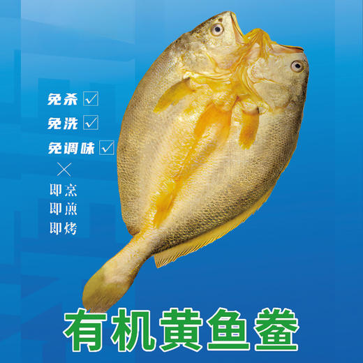 有机大黄鱼/有机黄鱼鲞，12项药残未检出，无抗有机双认证，生鲜冷冻安心美味，顺丰发货 商品图5