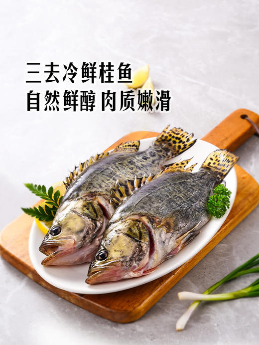 MM 山姆 三去桂鱼 800g（2条） 商品图1