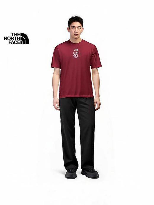 点此购买 北面夏季马年限定款男女款运动户外休闲透气短袖T恤 xj 343354 商品图3