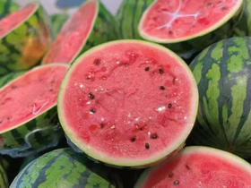 【金奖·冰淇淋糖丸小西瓜】🍉沾刀即裂，沾牙即碎，入口即化!
我……无法形容的酥脆!