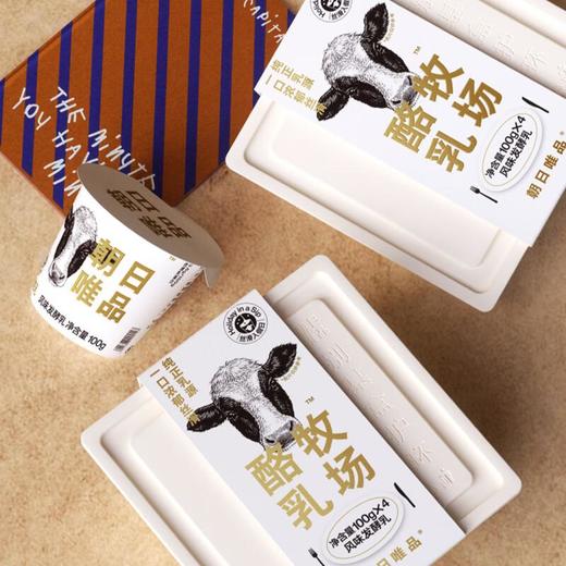 唯品牧场酪乳 100g*4/组 商品图0