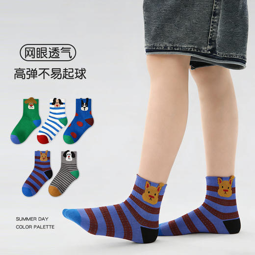 【19.9元5双】儿童春夏薄款袜子 A类棉质透气网眼童袜 商品图1