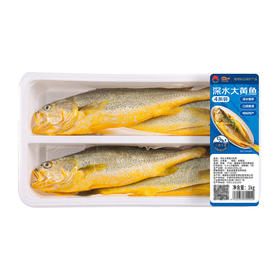MM 山姆 深海大黄鱼4条装