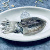 【浙江舟山海捕】东海新鲜速冻墨鱼4只装（每只200g~300g，总重量不低于1000克） 商品缩略图2