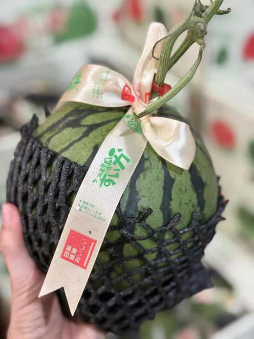 【金奖·冰淇淋糖丸小西瓜】🍉沾刀即裂，沾牙即碎，入口即化!
我……无法形容的酥脆! 商品图3