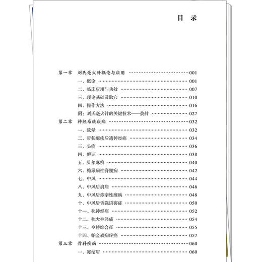 刘氏毫火针疗法精选医案集 白伟杰 郑利群 主编（中山名中医传承系列丛书）临床医学 中医学 9787524700777中国中医药出版社 商品图3