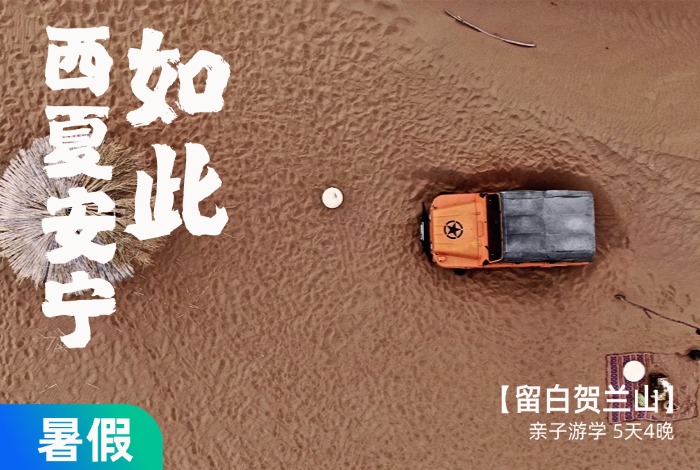 【暑假】西夏安宁，贺兰山下的半部华夏史 5天4晚