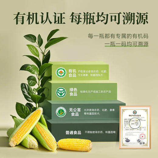 六养鲜榨有机玉米汁230g*8瓶/箱  甄选新鲜玉米现榨现灌香浓东方五谷杂粮早餐冲饮料 商品图2