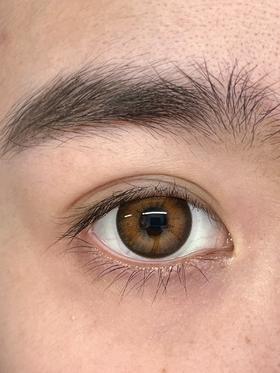 hancon日抛美瞳 黄油小熊 14.2mm