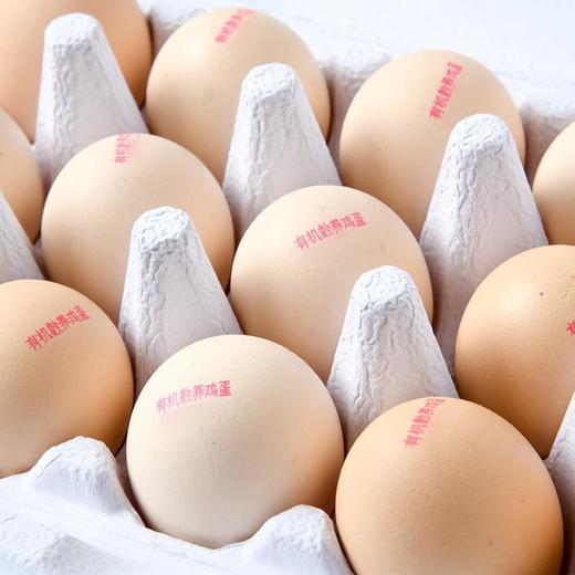 有机散养鸡蛋15枚 商品图2