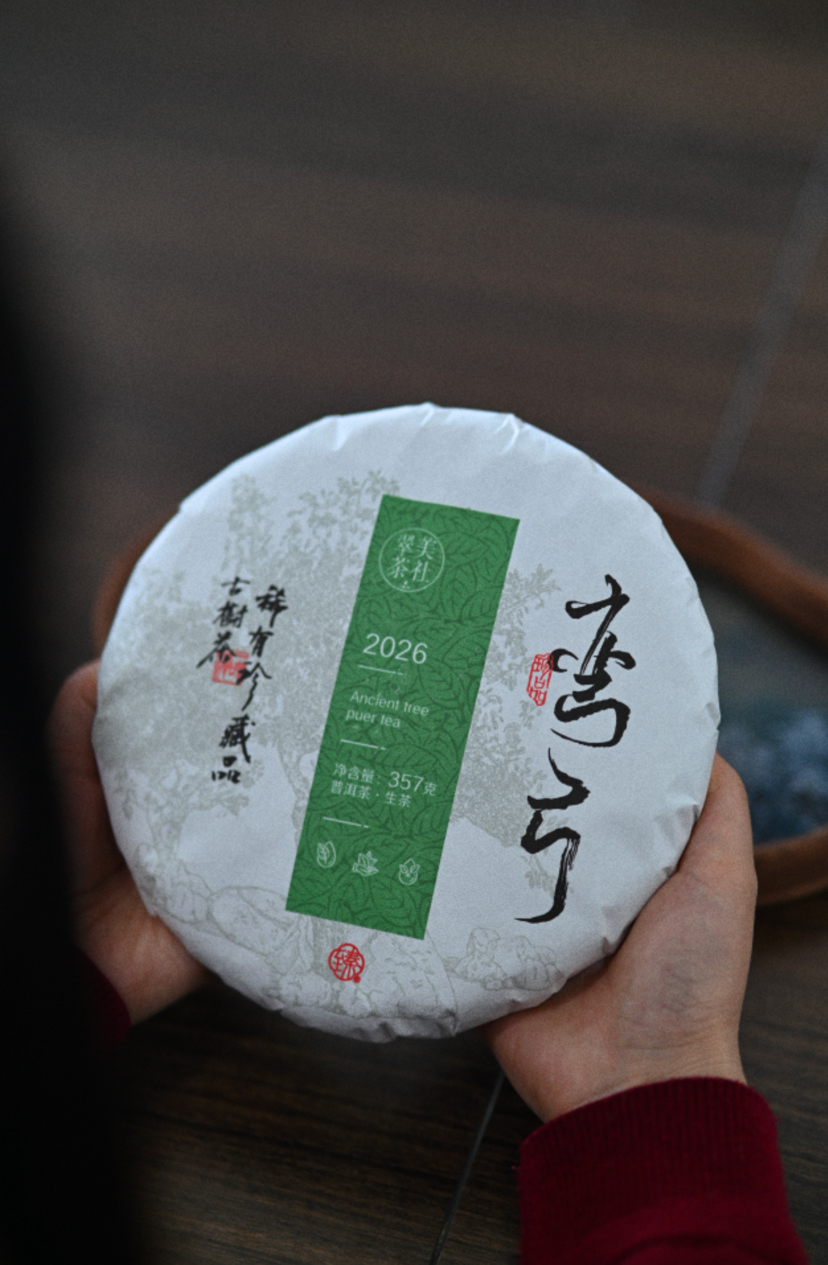 2026【弯弓高杆】 易武弯弓森林高杆头春！挑采！绕舌柔！