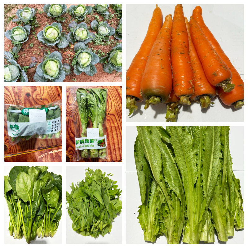 【同行精选】蔬菜箱6斤 自然农法种植 共7种菜品：胡萝卜，豌豆苗、油麦菜，卷心菜，菠菜，莴笋，苏州青苔 【京东空运】