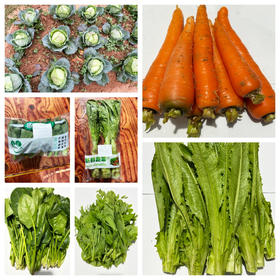 【同行精选】蔬菜箱6斤 自然农法种植 共7种菜品：胡萝卜，豌豆苗、油麦菜，卷心菜，菠菜，莴笋，苏州青苔 【京东空运】