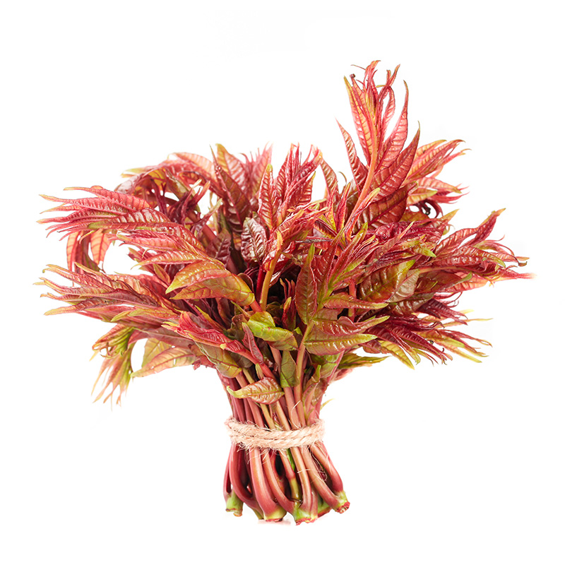 精品菜：香椿200g