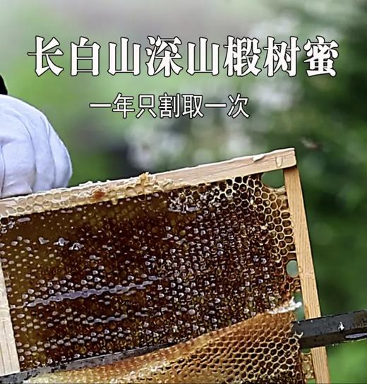 【活动：9瓶 送一盒价值199的灵芝孢子粉】长白山5A级自然保护区黑蜂椴树雪蜜（1瓶1斤） 商品图3