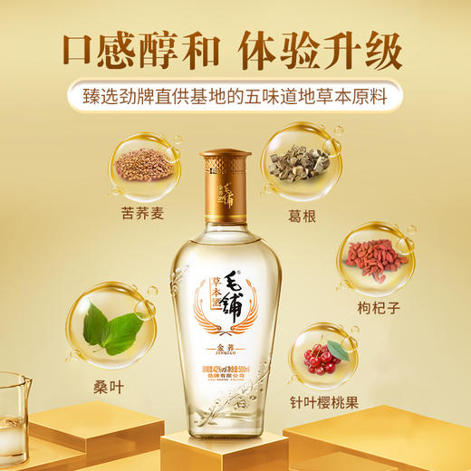 【标准版】500ml毛铺草本酒·金荞（多规格） 商品图3