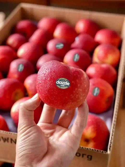 新西兰小苹果 商品图0