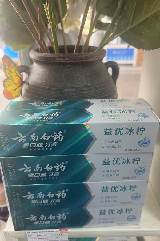 云南白药 金口健牙膏 益优清新 105G（仅限钦州鼓雪站自提） 商品图0