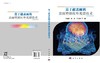 基于超表面的表面增强红外光谱技术 牟笑静等 9787030837684 商品缩略图3