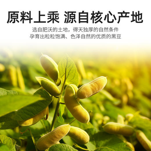 袋鼠小布绿心黑豆一级精选农家自产非转基因五谷杂粮黑豆 700g/罐 商品图1