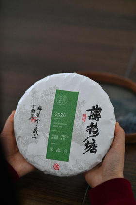 【2026薄荷塘】 Ⅰ类高杆古树，易武精微产区
