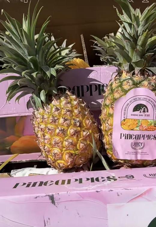 粉黛凤梨 商品图0