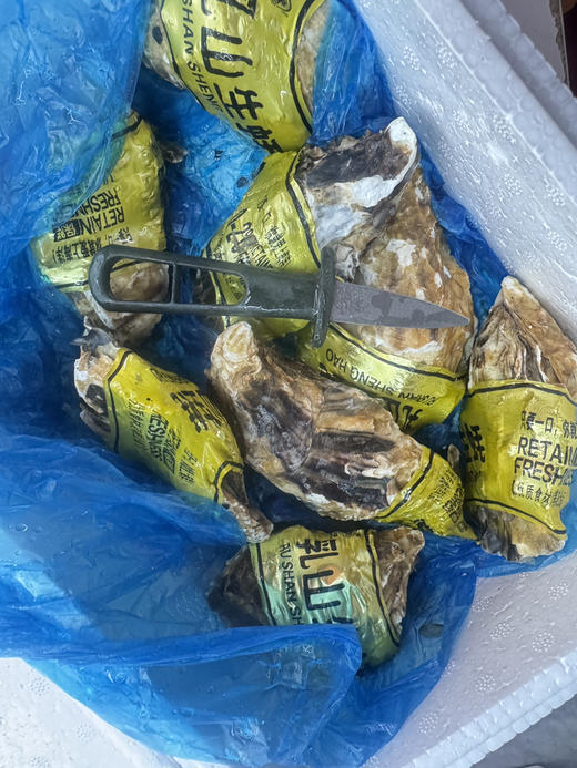 乳山生蚝2斤装 商品图4