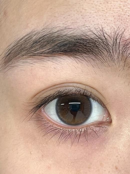 skeye日抛美瞳 野生柑子 14.2mm 商品图0