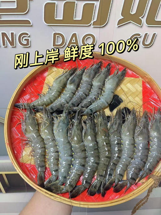 xm{批发价码头直发！！！纯天然新鲜劲~}海捕大黑虎虾，百吃不腻性价比高，顺丰活冻当天捕捞肉质紧实Q弹，好吃~ 商品图0
