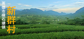 新群村简介