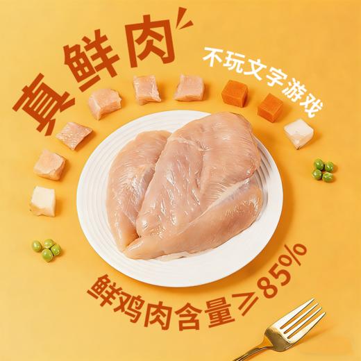 雀瑞斯宠物零食犬猫通用罐大块肉元气罐头100g*24罐，线下店铺专供vip 商品图5