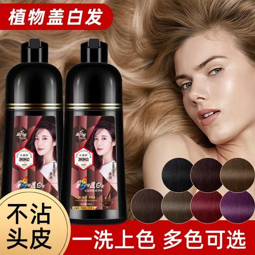 一支黑洗发露 洗发=染发 不沾头皮 草本提取人参芝麻一梳黑 商品图2