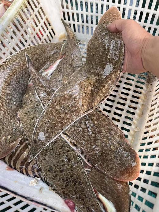 xm断货王{护眼补钙海鱼！新鲜无刺！！！}刚回港的深海龙利鱼，每一条精挑细选发货，顺丰冷链送货上门 厨房小白也能轻松搞定，几分钟就能端上一盘硬菜！ 商品图5