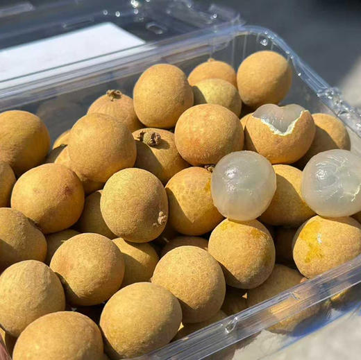 金果源鲜龙眼（两斤装JJ） 商品图5