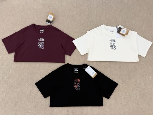 点此购买 北面夏季马年限定款男女款运动户外休闲透气短袖T恤 xj 343354 商品图7