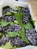 宏丰精选 蓝莓葡萄 入口蓝莓味 甜葡萄   零售19.8一斤 商品缩略图4