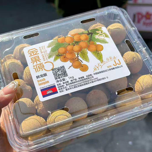金果源鲜龙眼（两斤装JJ） 商品图3