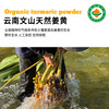 云南文山【凤禾鸣】有机姜黄粉 四国有机认证 超模同款黄金奶 纯净营养 多重健康 商品缩略图4