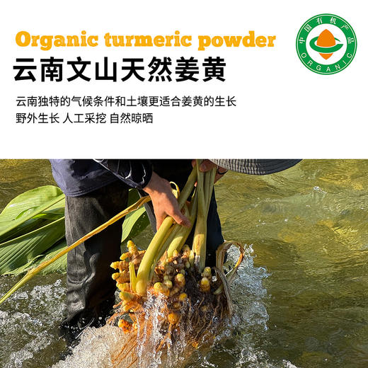 云南文山【凤禾鸣】有机姜黄粉 四国有机认证 超模同款黄金奶 纯净营养 多重健康 商品图4