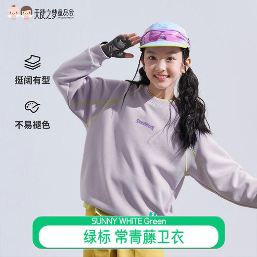 【代发】绿标童装常青藤卫衣儿童上衣长袖 商品图0