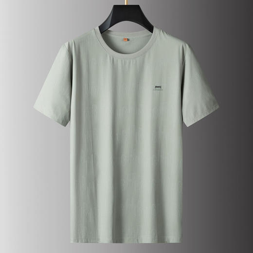 【DPS】大依优型大码男装夏季圆领短袖休闲运动简约透气凉感T恤上衣 商品图1