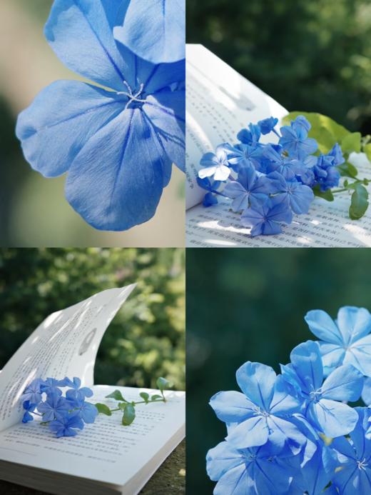 蔚蓝色盘扣气质衬衫｜新中式设计，清冷贵气，不挑皮不挑场景 商品图7