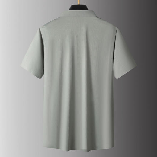 【DPS】大依优型大码男装夏季冰丝短袖衬衫商务休闲百搭上衣衬衣翻领 商品图3