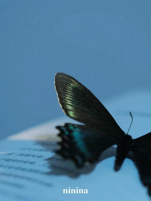 【秒杀】小众也高级 原创设计系列【ninina春夏饰品合集】美到失语的款式，耳钉2件起拍 商品图5