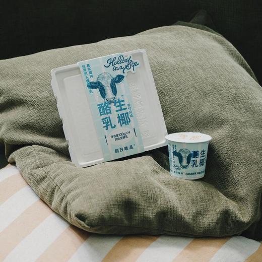 唯品牧场生椰酪乳 100g*4/组 商品图1