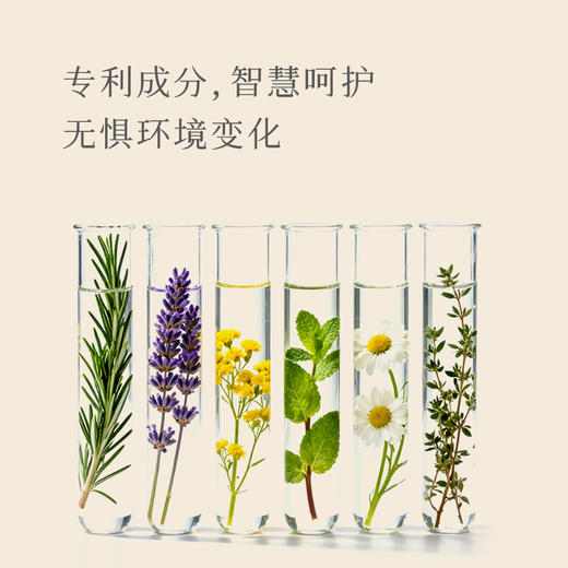 芬缘FUMARE肌肤之歌系列香氛身体乳秋冬保湿滋润嫩肤留香润肤乳 商品图2