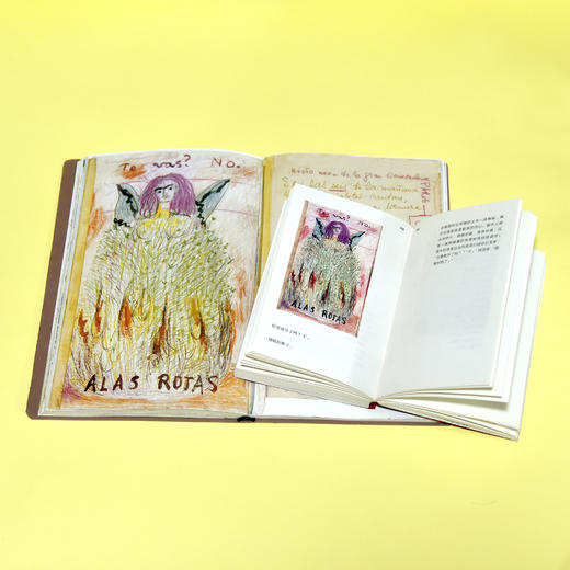 弗里达·卡罗日记：一部私密的自我画像 商品图8